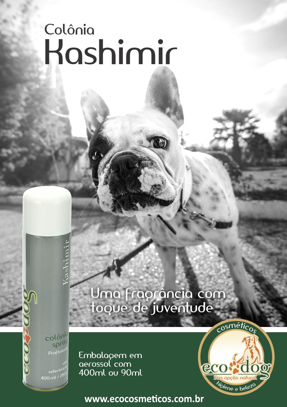 ecodog-poster-kashimir