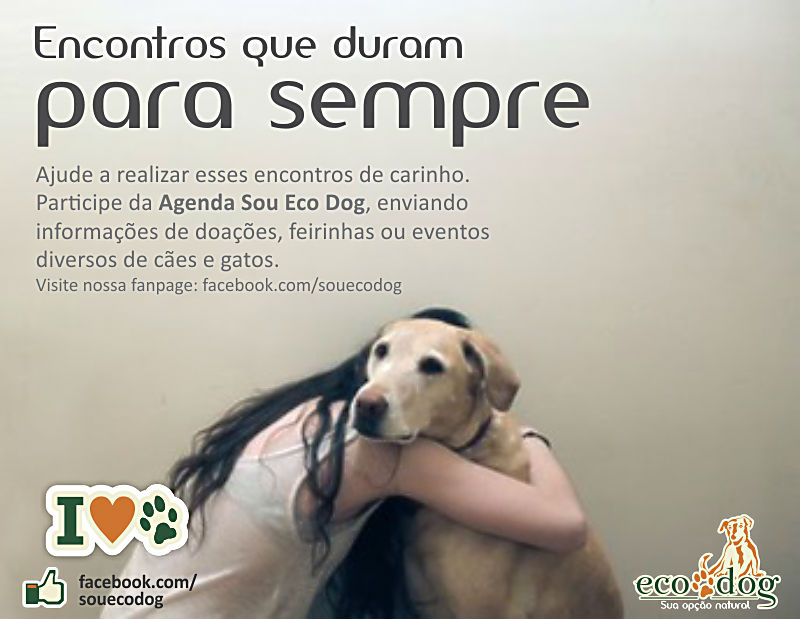 EMKT ECODOG 2014 002