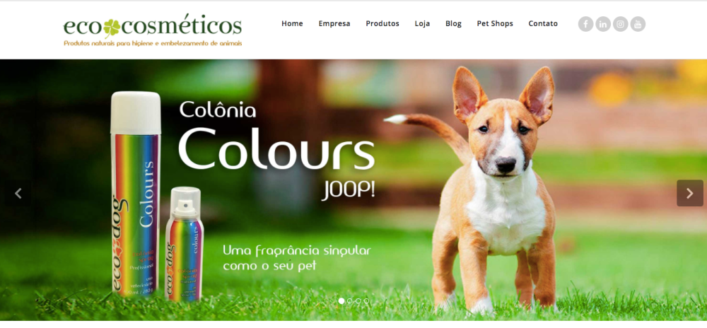 Captura de tela 2018-02-26 17.35.22.png